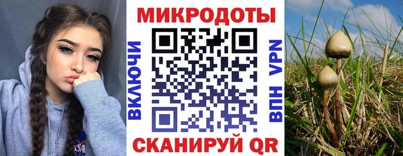Псилоцибиновые грибы Magic Shrooms Абинск